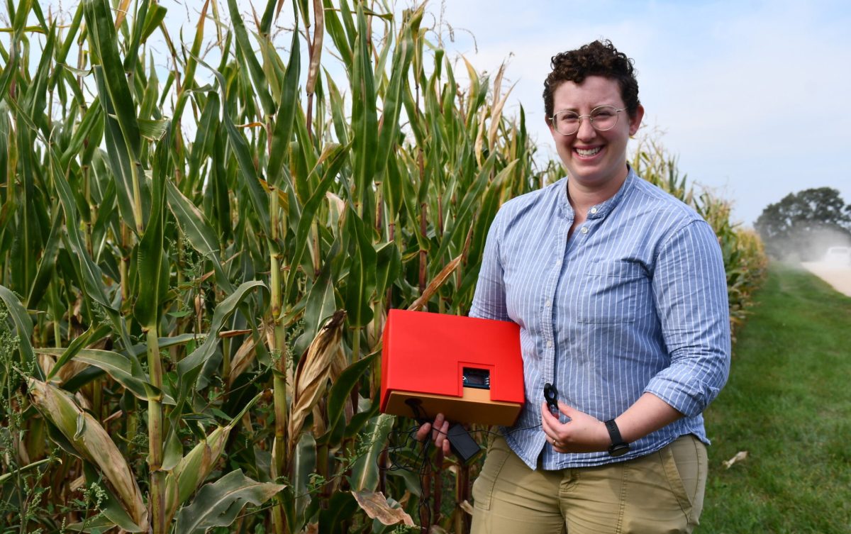 person standing next to a corn field holding a medium sized red box