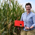 person standing next to a corn field holding a medium sized red box