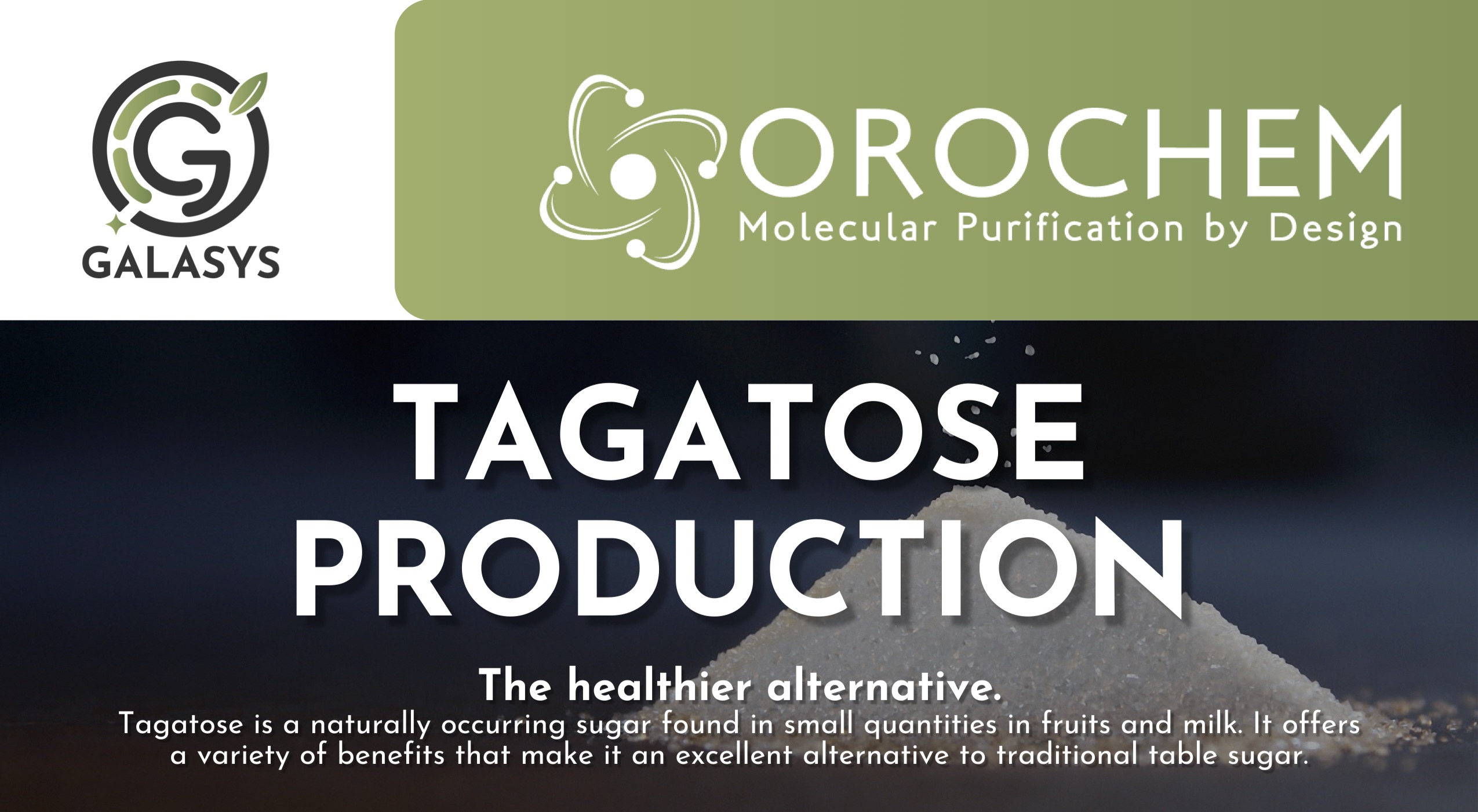 Flier with the text "Galasys and Orochem, tagatose production: the healthier alternative."